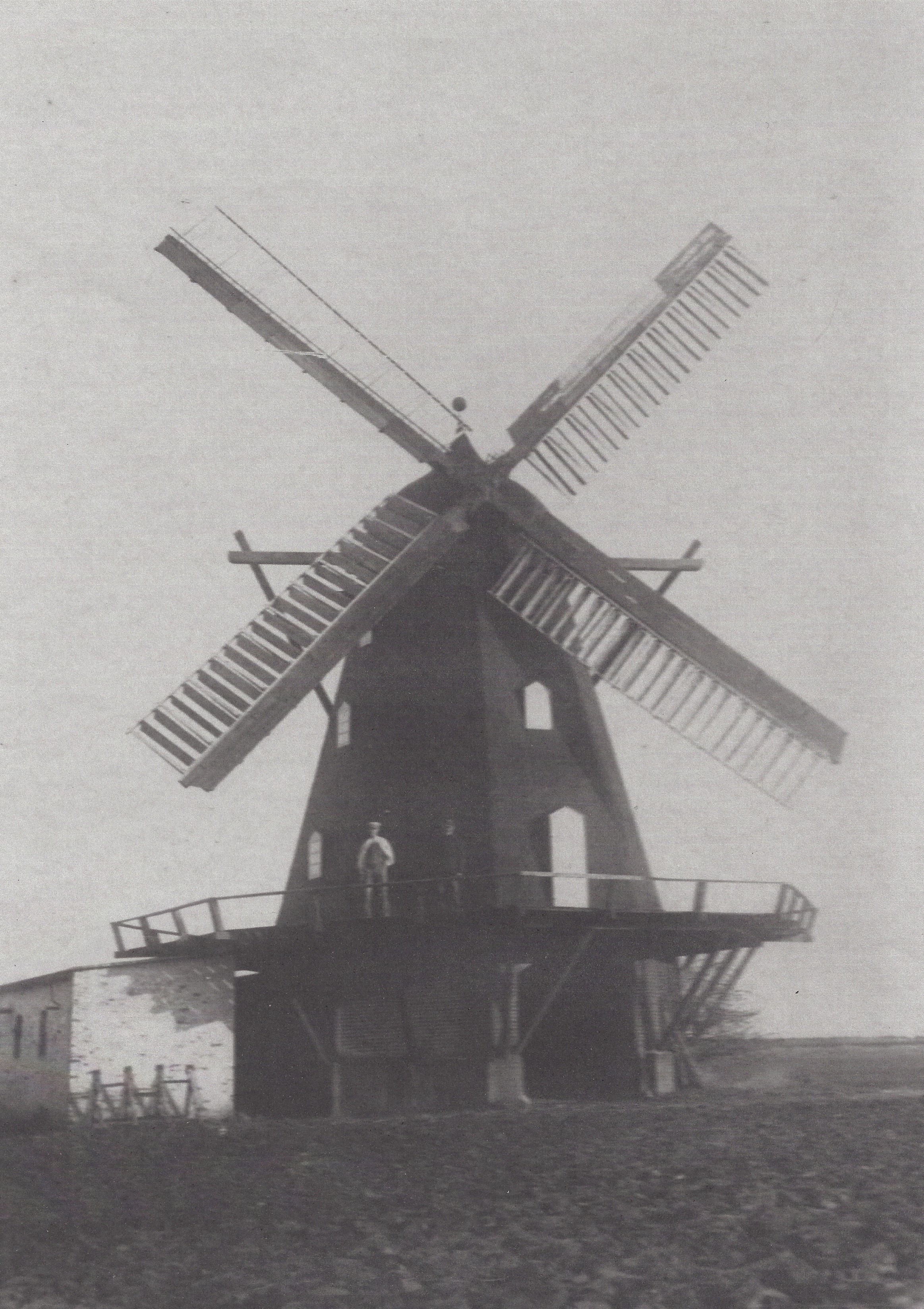 Nolev