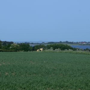 IMG_9553