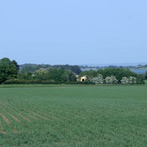 IMG_9558