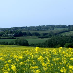 IMG_9562