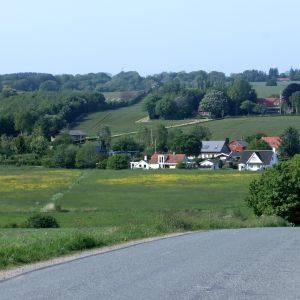 IMG_9614