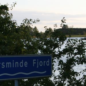 IMG_0301