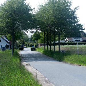 IMG_9529