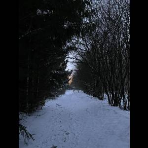 v13_original